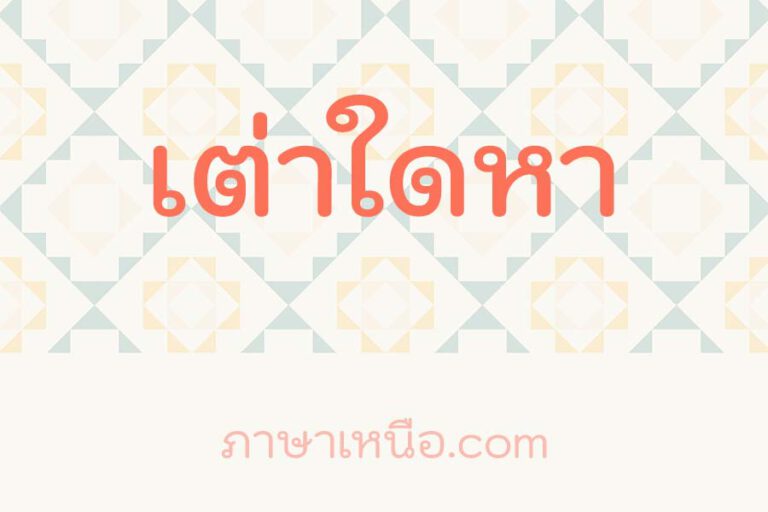 เต่าใดหา