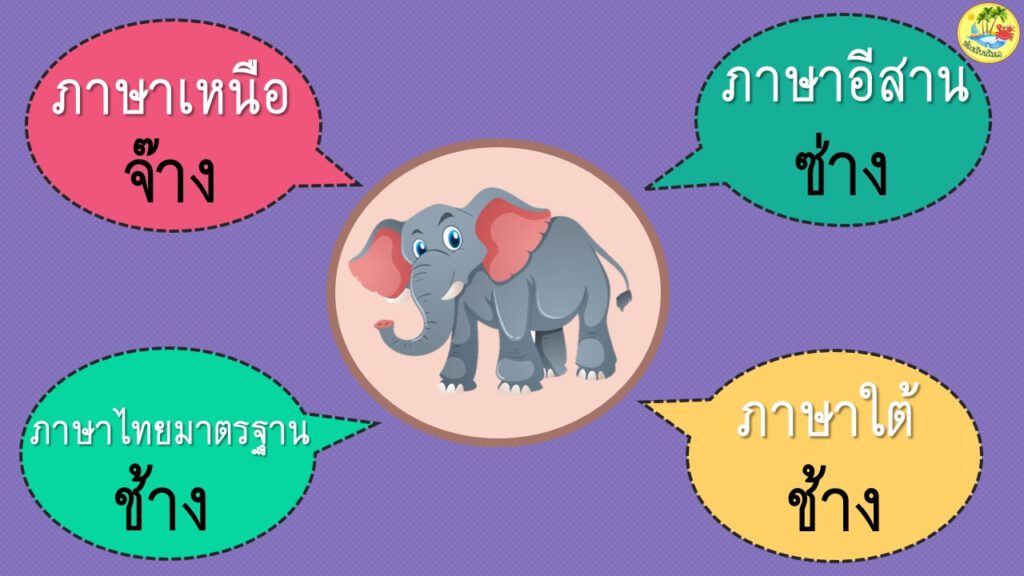 ช้างภาษาเหนือ