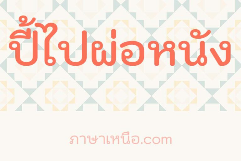 ปี้ไปผ่อหนัง