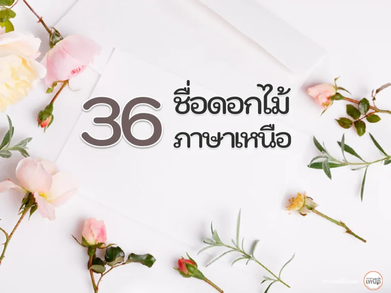 36ชื่อดอกไม้ภาษาเหนือ